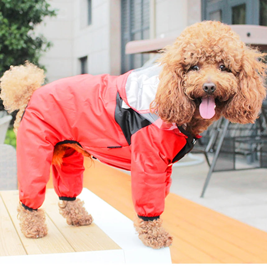 The Dog Face Raincoat for Dogs